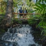 San Martín de los Andes en las 4 estaciones: cuándo viajar y qué esperar