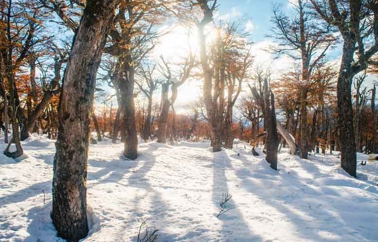 Fuego-y-Nieve-777-004